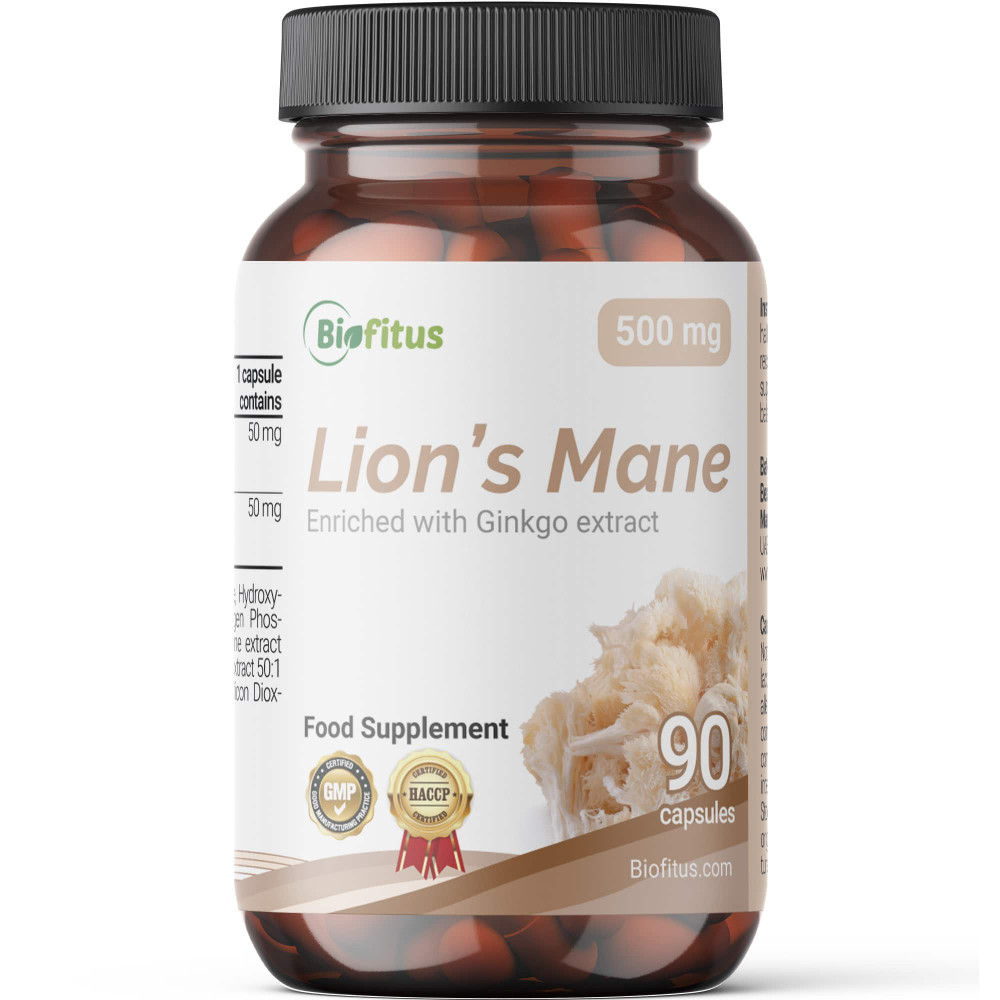 Lõvikarva seen hõlmikpuu ekstraktiga