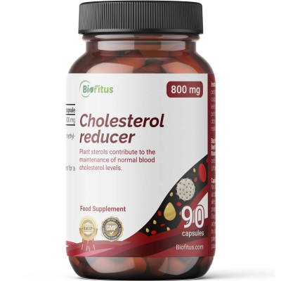 Kolesterool