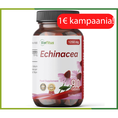 Punane Päevakübar 500