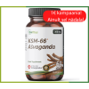 Ašvaganda KSM-66 300 mg