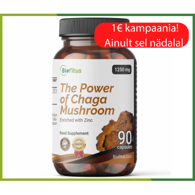 Chaga 1250